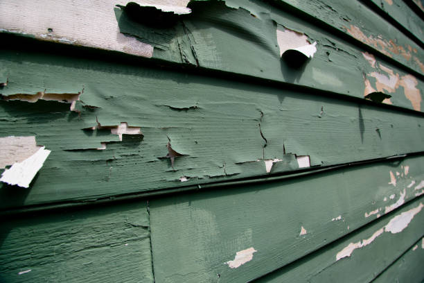 Best Insulated Siding Installation  in Home, WA